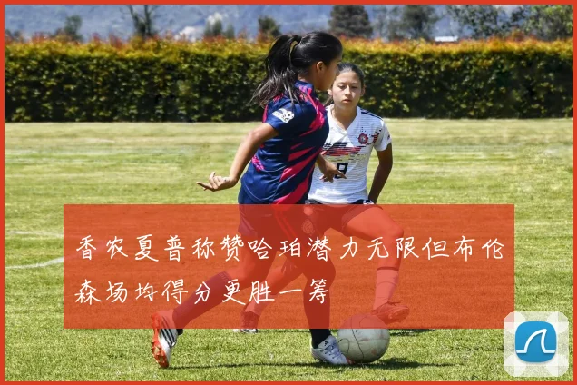 香农夏普称赞哈珀潜力无限但布伦森场均得分更胜一筹