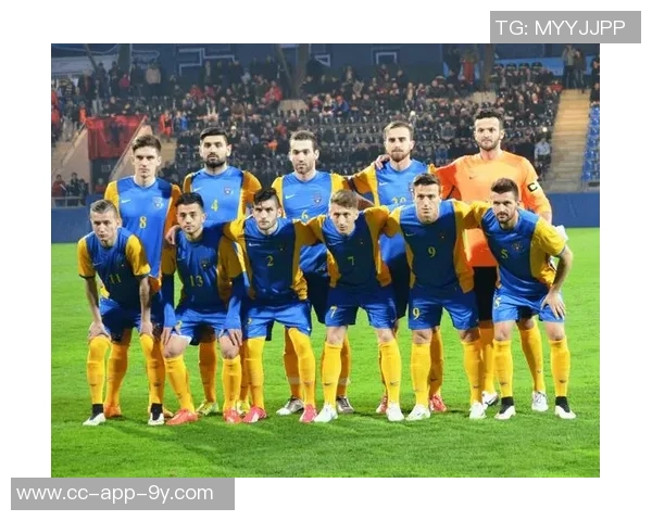 舍什科膝伤困扰或将缺席斯洛文尼亚世预赛征战 舍什科膝伤困扰或将缺席斯洛文尼亚世预赛征战